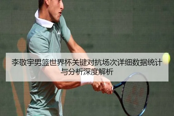 李敬宇男篮世界杯关键对抗场次详细数据统计与分析深度解析