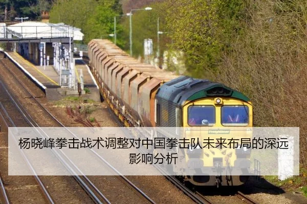 杨晓峰拳击战术调整对中国拳击队未来布局的深远影响分析