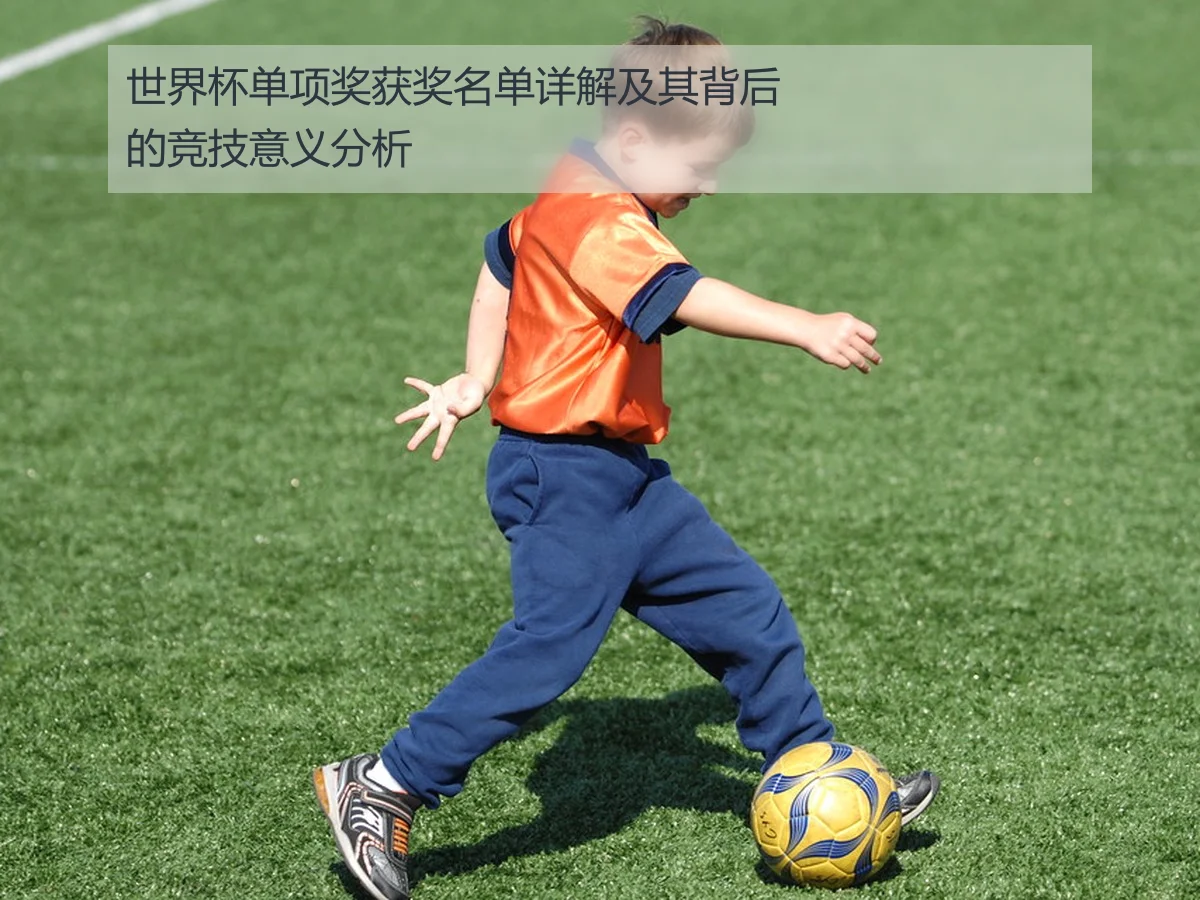 世界杯单项奖获奖名单详解及其背后的竞技意义分析
